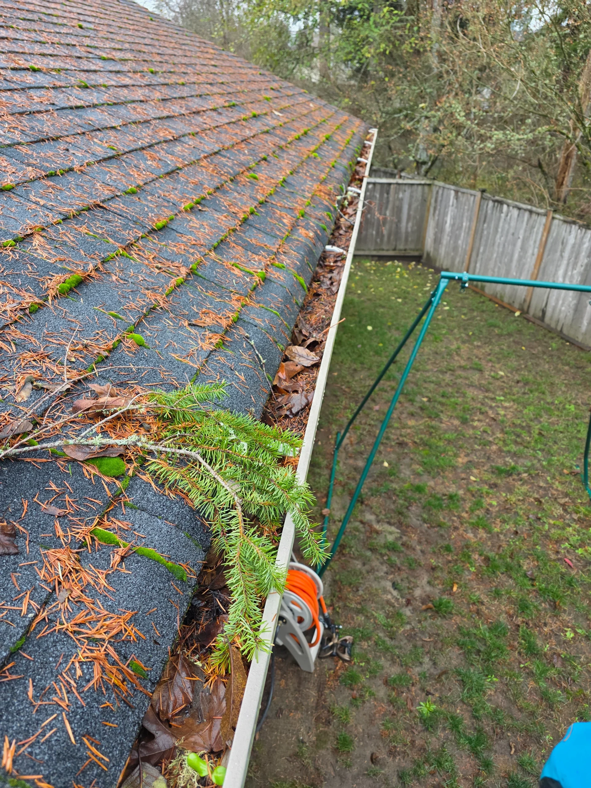 Gutter Cleaning