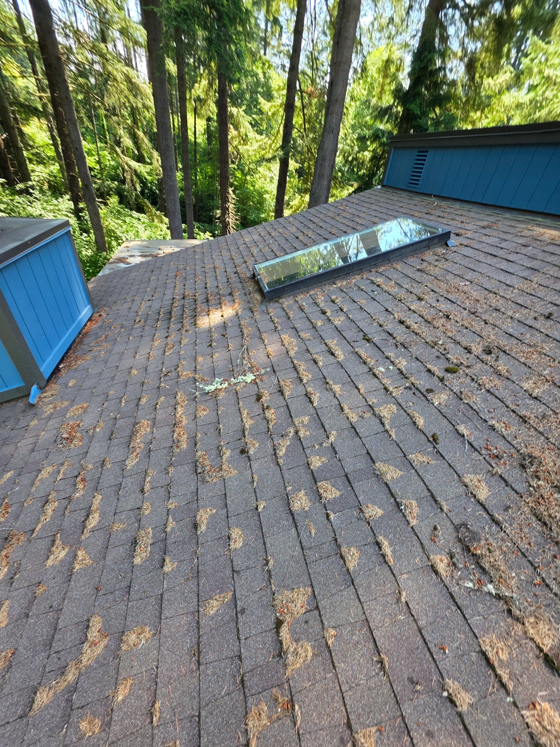 Roof Cleaning
