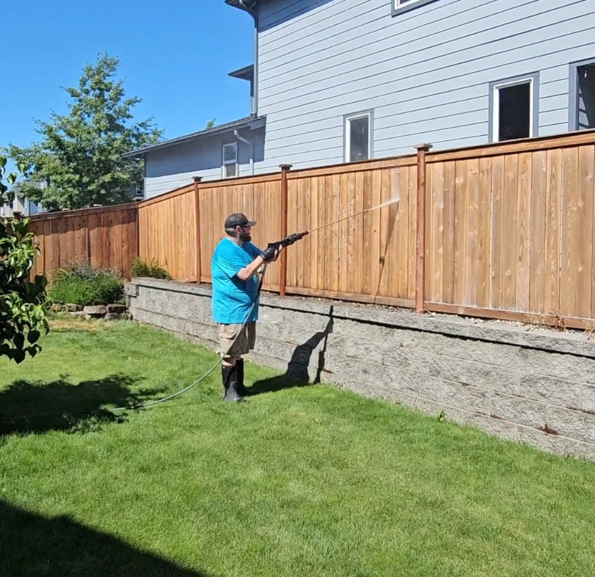 Fence Cleaning